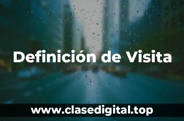 Definición de Visita