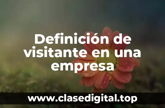 Definición de visitante en una empresa
