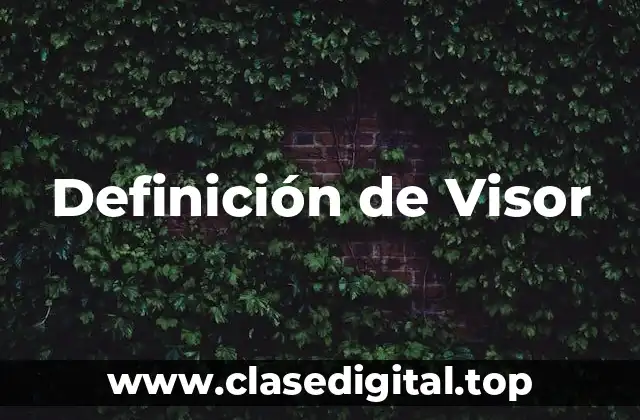 Definición de Visor