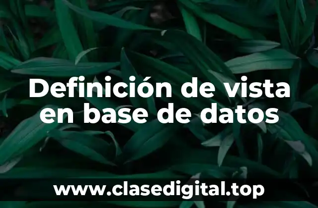 Definición técnica de vista en base de datos
