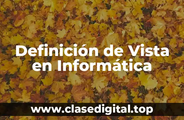 Definición de Vista en Informática