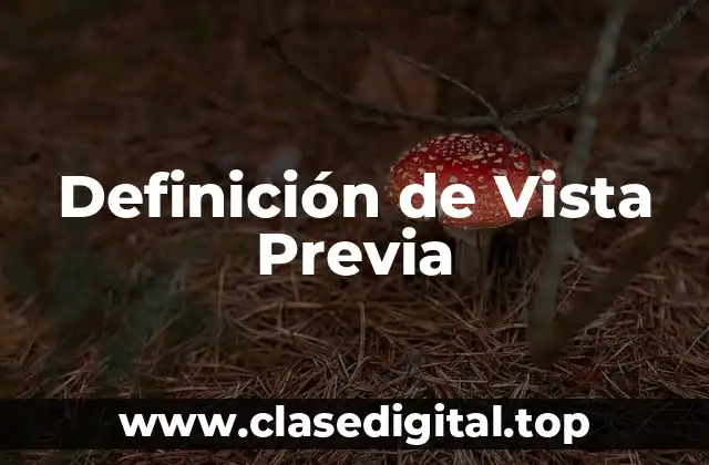 Definición técnica de Vista Previa