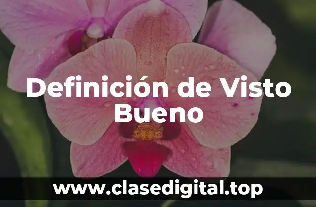 Ejemplos de Visto Bueno