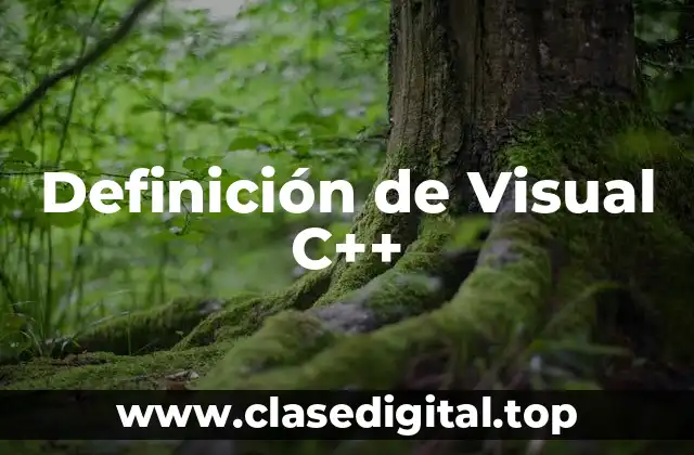 Definición de Visual C++
