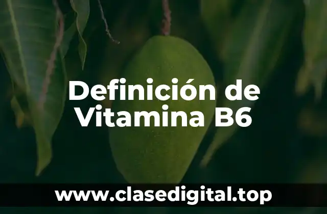 Definición de Vitamina B6