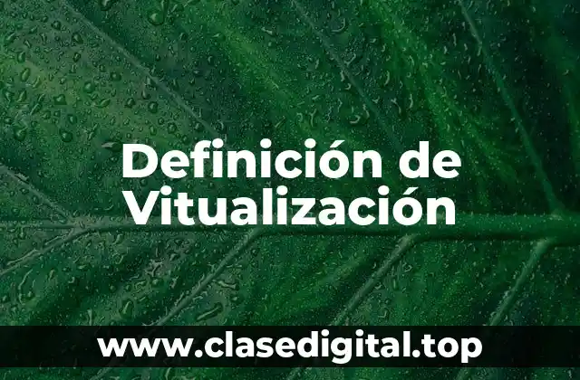 Definición de Vitualización