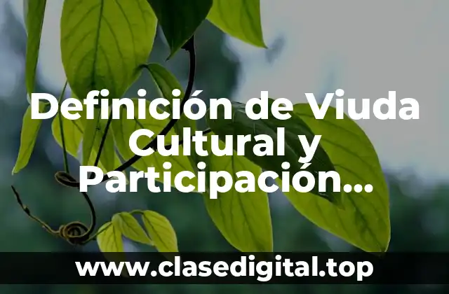 Definición de Viuda Cultural y Participación Ciudadana