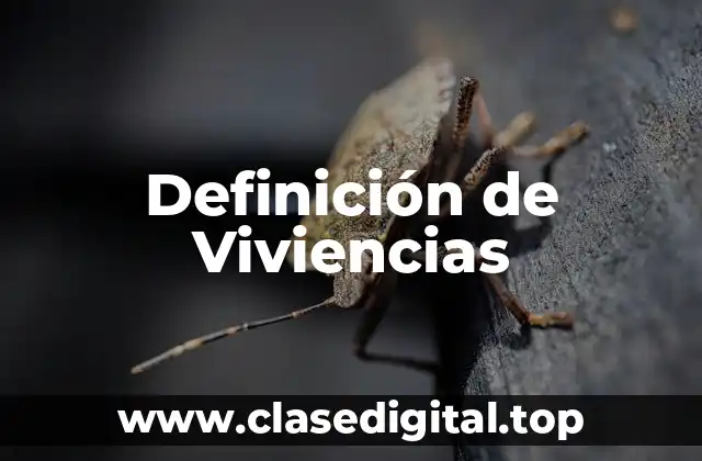 Definición de Viviencias