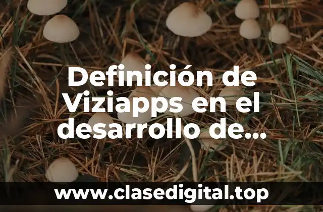 Definición de Viziapps en el desarrollo de aplicaciones móviles