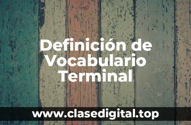 Definición de Vocabulario Terminal