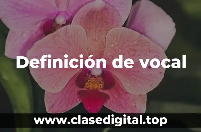 Definición de vocal