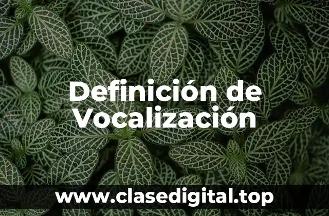 Definición de Vocalización