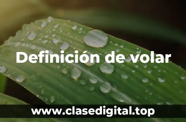 Definición de volar