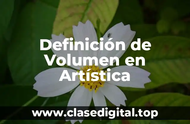 Definición de Volumen en Artística