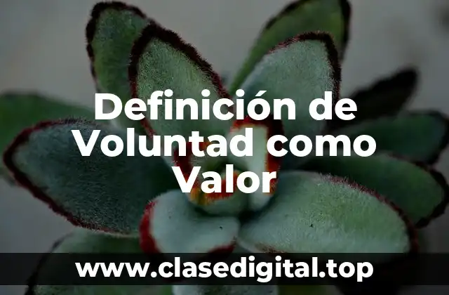 Definición de Voluntad como Valor