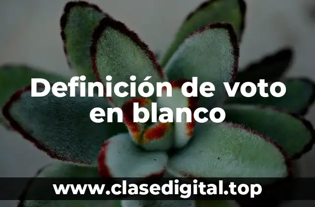 Definición de voto en blanco