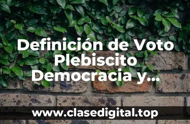 Definición de Voto Plebiscito Democracia y Servidores Públicos