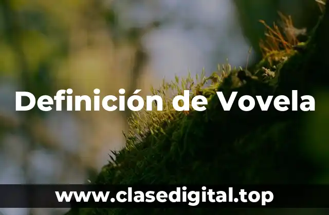 Definición de Vovela