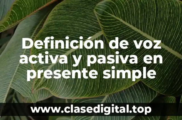 Definición de voz activa y pasiva en presente simple