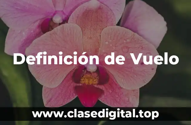 Definición técnica de Vuelo