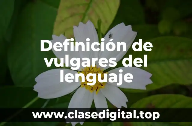 Definición de vulgares del lenguaje