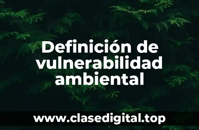 Definición técnica de vulnerabilidad ambiental
