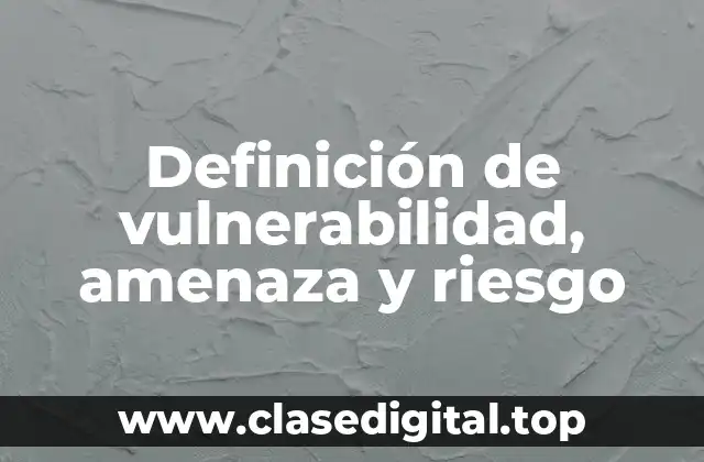Definición de vulnerabilidad, amenaza y riesgo