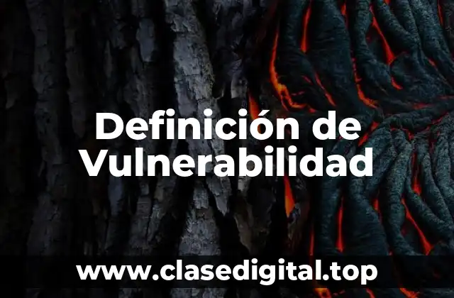 Ejemplos de Vulnerabilidad