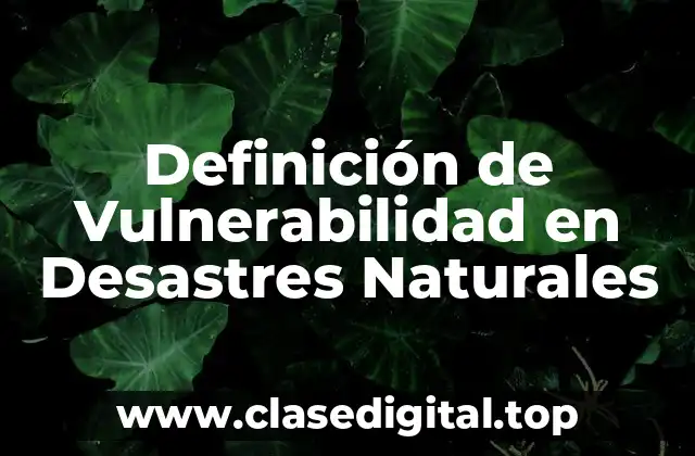 Definición de Vulnerabilidad en Desastres Naturales