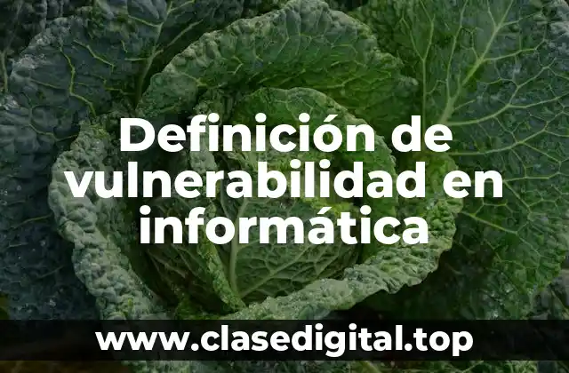 Definición de vulnerabilidad en informática