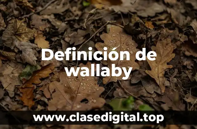 Definición de wallaby