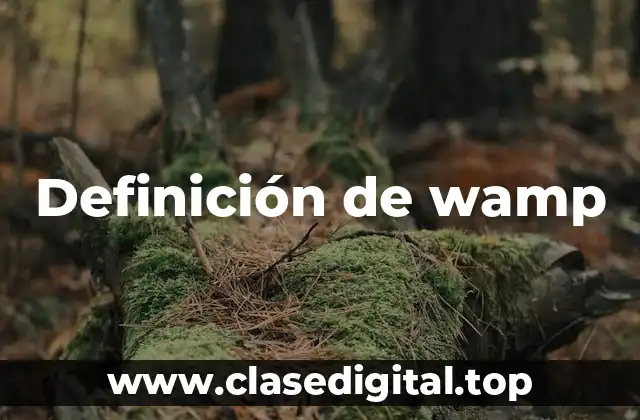 Definición de wamp