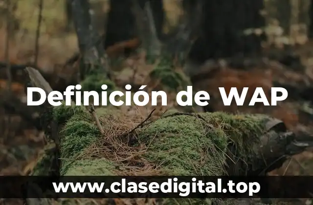 Definición de WAP