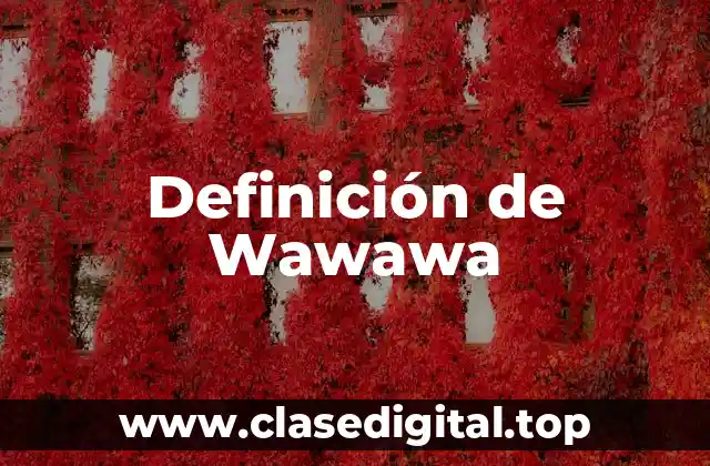 Definición técnica de Wawawa