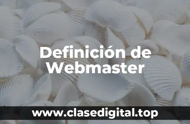 Definición de Webmaster
