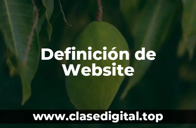 Definición de Website