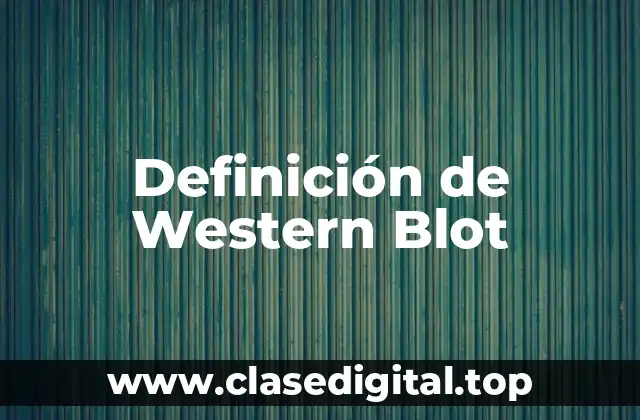 Definición de Western Blot