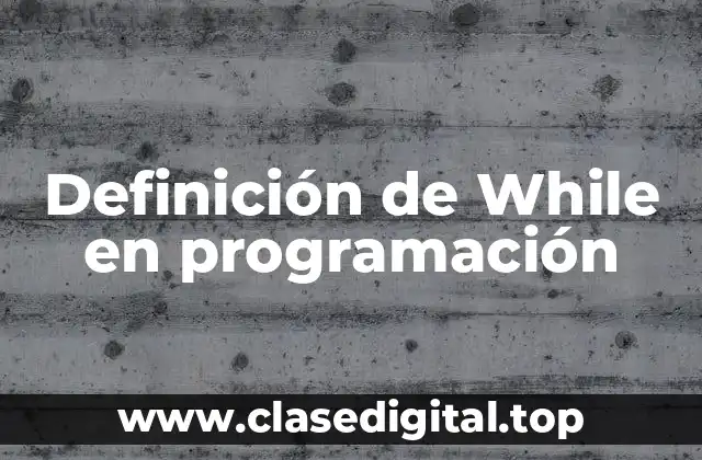 Definición de While en programación