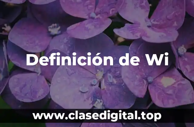Definición de Wi