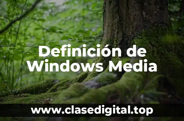 Definición de Windows Media