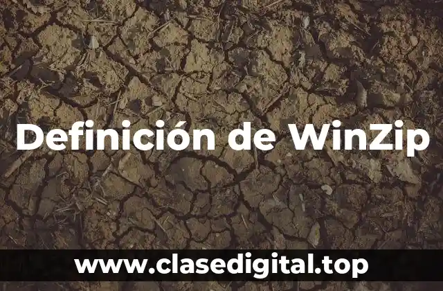 Definición técnica de WinZip