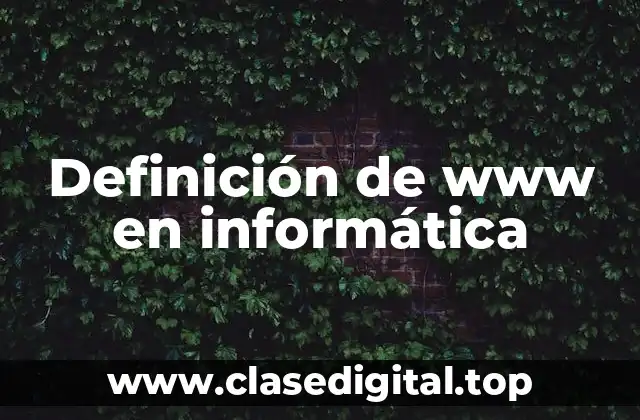 Definición técnica de www