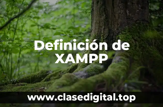 Definición de XAMPP