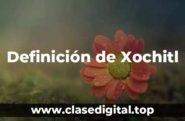 Definición de Xochitl