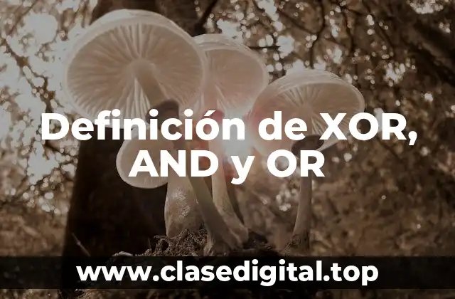Definición de XOR, AND y OR