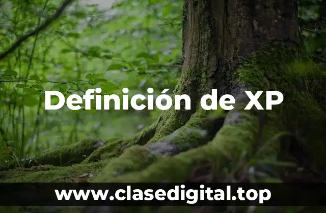 Definición de XP