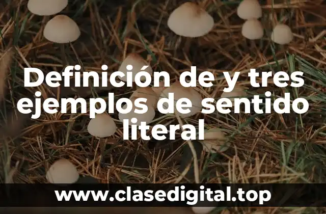 Definición de y tres ejemplos de sentido literal