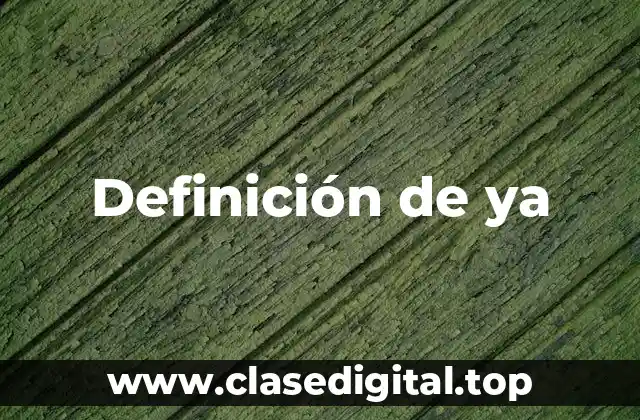 Definición técnica de ya