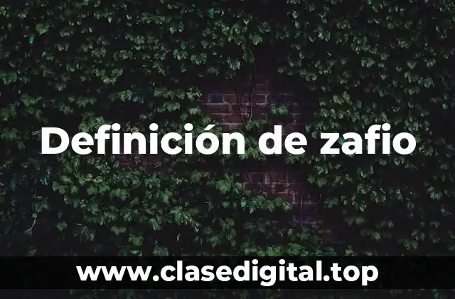 Definición de zafio