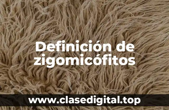 Definición de zigomicófitos